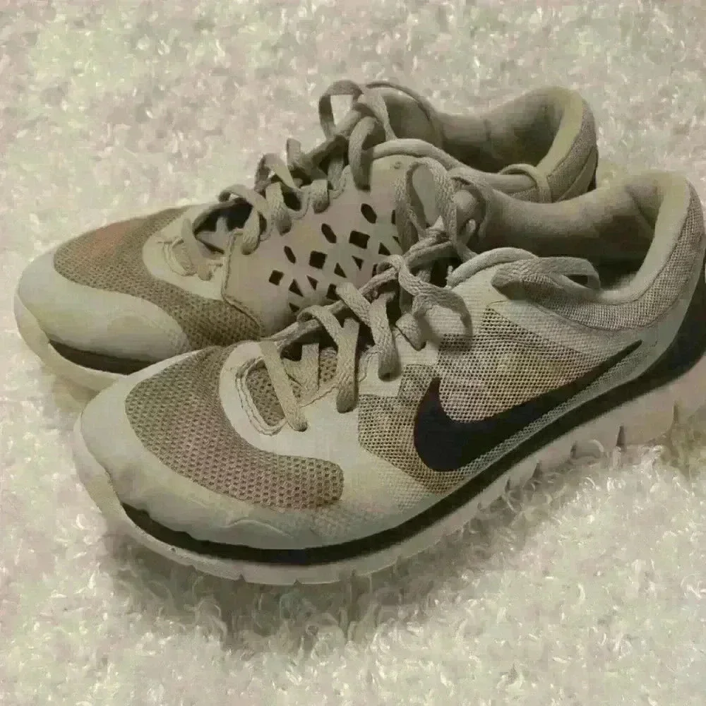 Nike Flex Running Shoe Youth